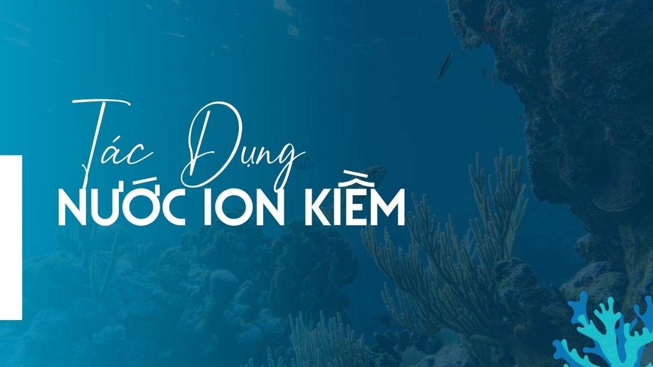 Tác Dụng Nước Ion Kiềm